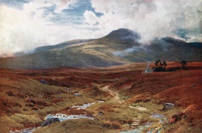 Moor bij Killin, Perthshire (kleurenlitho) door Henry Sutton Palmer