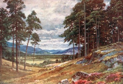  door Henry Sutton Palmer