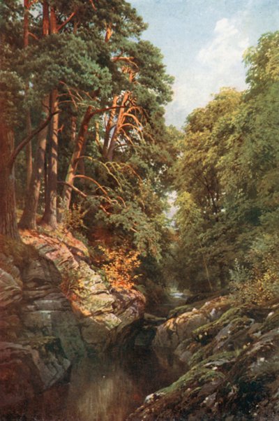  door Henry Sutton Palmer