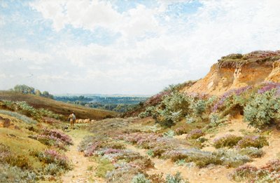 Heide op een heide in Surrey door Henry Sutton Palmer