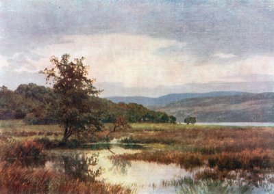  door Henry Sutton Palmer