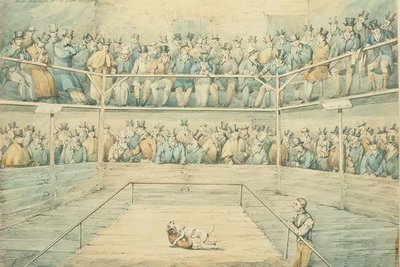 Hondengevecht bij de Westminster Pitt door Henry Thomas Alken
