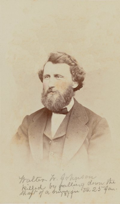 Carte-de-visite portret van Walter W. Johnson, 1868 door Henry Ulke