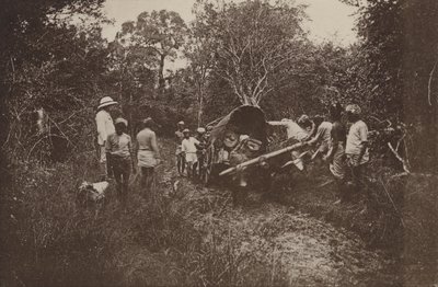 Verwoeste steden van Ceylon: Op weg naar Polonnaruwa door Henry W. Cave