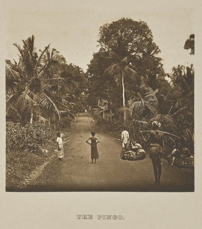 De Pingo door Henry W. Cave