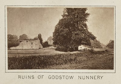 Ruïnes van het nonnenklooster van Godstow door Henry W. Taunt