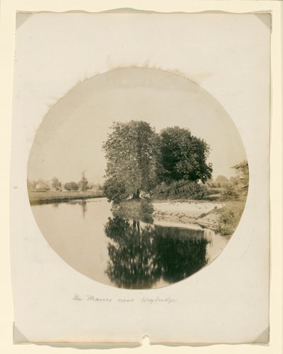 Zonder titel door Henry White