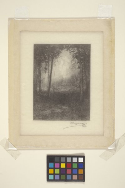 In De Adirondacks door Henry Wolf
