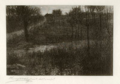 De Avondster (Motief gevonden in de Catskills) door Henry Wolf