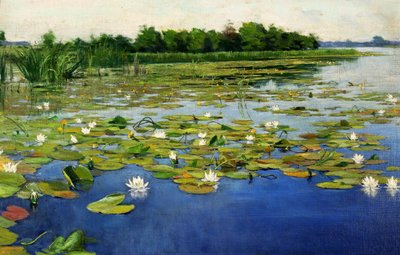 Waterlelies door Henryk Weyssenhoff