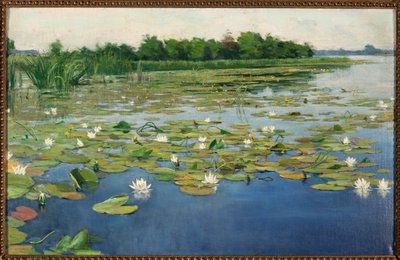 Waterlelies door Henryk Weyssenhoff