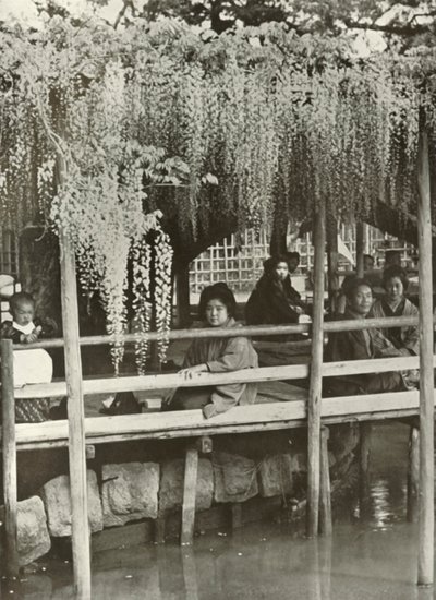 Een Wisteria-prieel in Kameido door Herbert Ponting