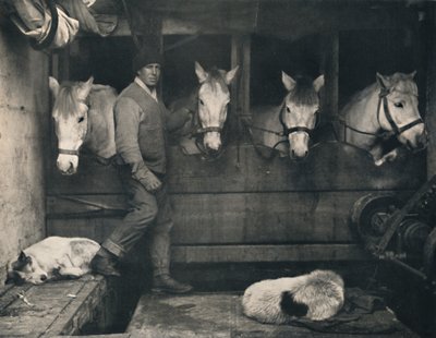 Kapitein Oates, op de Terra Nova met de Siberische pony