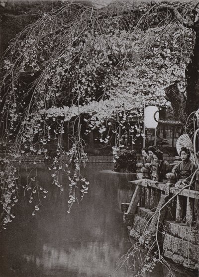 Kersenbloesemtijd in Japan door Herbert Ponting