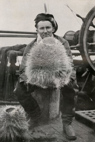 D. G. Lillie, met enkele van de kiezelachtige sponzen, c1911, 1913 door Herbert Ponting