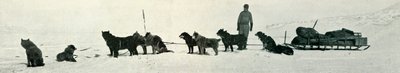Honden met Voorraad die Hutpunt Verlaten, ca. 1911, 1913 door Herbert Ponting
