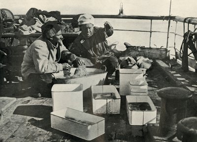 Lillie en Dr. Levick sorteren een sleepnetvangst, c1910-1913, 1913 door Herbert Ponting