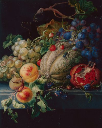Fruit stilleven op een stenen richel door Herman Henstenburgh