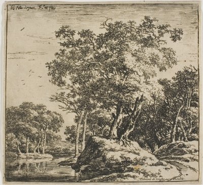Landschap, uit reeks landschappen door Herman Naijwincx