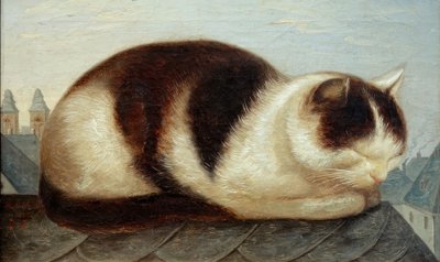 Kat door Hermann Anschütz
