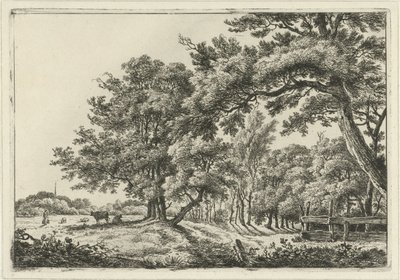 Landschap met twee koeien in de schaduw door Hermanus Fock