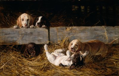 H. Biedermann-Arendts, Spelende puppy