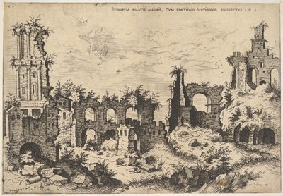 Uitzicht op ruïnes op de Palatijnse Heuvel met trabeate gevel links en arcades in het midden, 1550 door Hieronymus Cock