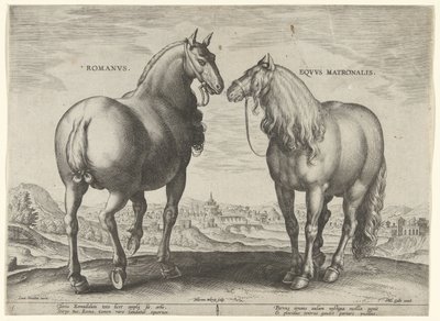 Paard uit Rome en een draagmerrie (Paardenrassen uit de Koninklijke stallen van Don Juan van Oostenrijk) door Hieronymus Wierix