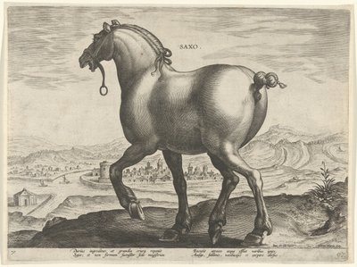 Paard uit Saksen door Hieronymus Wierix