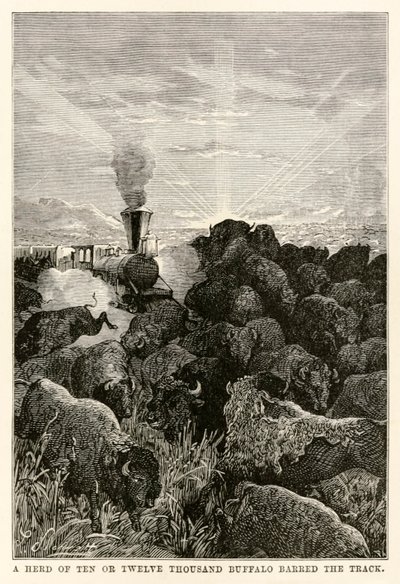 Een kudde van tien of twaalf duizend buffels versperde de weg, uit De Reis om de Wereld in Tachtig Dagen door Jules Verne (1828-1905), gegraveerd door Louis Prevost, 1873 door Hippolyte Leon Benett