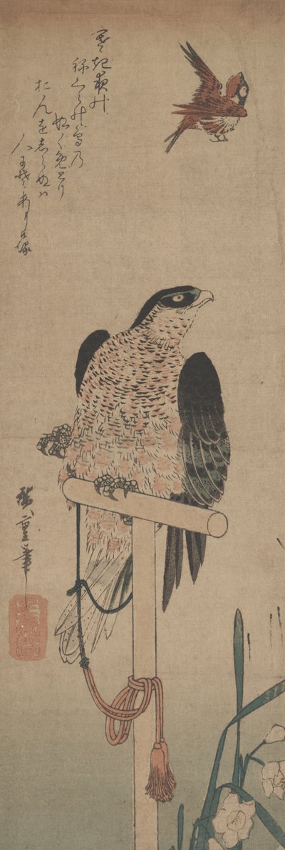 Valk op zitstok, mus en narcis door Hirokage Utagawa