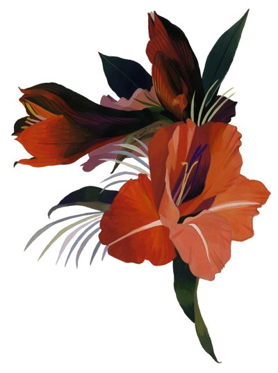 Een denkbeeldige bloem gebaseerd op een amaryllis door Hiroyuki Izutsu
