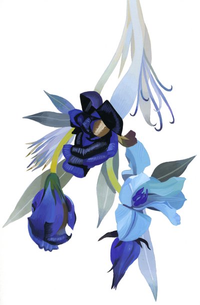 Bloem getekend met blauwe tint door Hiroyuki Izutsu