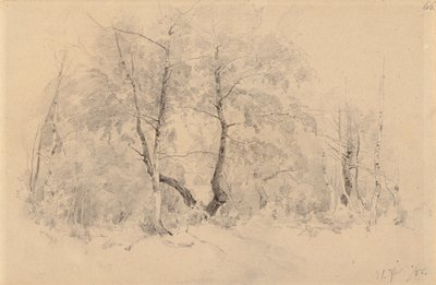 Berkenbosje door Hjalmar Munsterhjelm