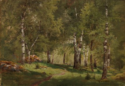  door Hjalmar Munsterhjelm