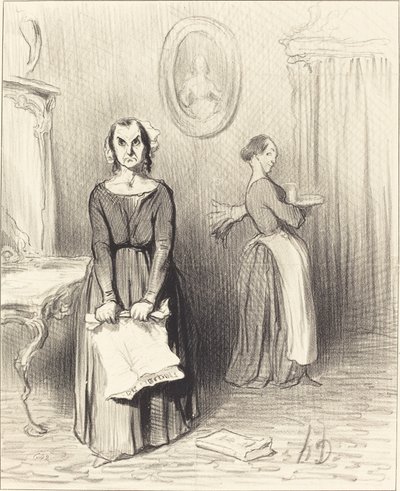 Dit dagboek vindt mijn werk zielig... door Honoré Daumier
