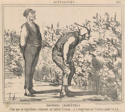 Ik moet kijken hoe de druiven rijpen... door Honoré Daumier