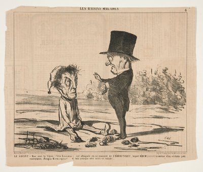 Le Savant - Mijn vriend, de Wijnstok (Vitis Linnoeus), wordt momenteel aangevallen door Honoré Daumier