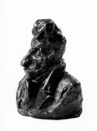 De bustes van de Celebrites du Juste Milieu. Karikatuur door Jean Auguste Chevandier de Valdrome, afgevaardigde en paar van Frankrijk. De domme. Beeldhouwwerk door Honore Daumier, 19e eeuw door Honoré Daumier
