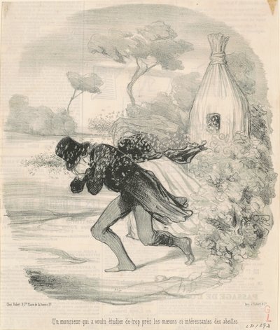 Een heer die de gewoonten van bijen wilde bestuderen door Honoré Daumier
