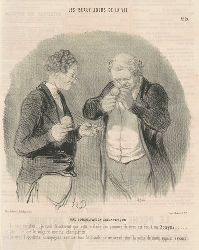 Een wetenschappelijk consult door Honoré Daumier