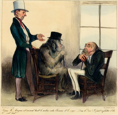 Zie meneer Mayeux, dit dier houdt het midden tussen mens en aap - Godzijdank! Hij kan zich vleien dat hij lelijk is! Karikatuur die de gelijkenissen tussen een orang-oetan en een mens afbeeldt - tekening door Honoré Daumier uit 