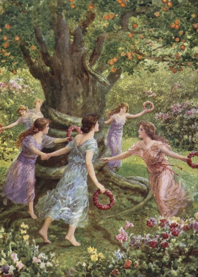 Perseus zag hen dansen rond de betoverde boom. Uit Hoe Perseus de Gorgon versloeg door Howard Davie