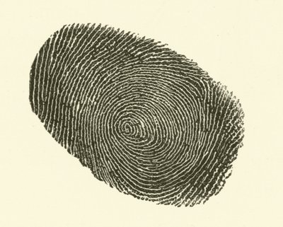 Vingerafdruk door Hugh Rowley