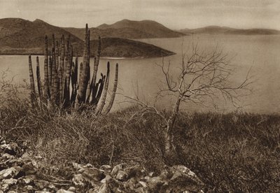 Mexico: Bij de kust van Baja California (z/w foto) door Hugo Brehme
