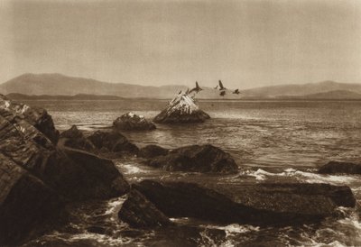 Mexico: kust van Manzanillo, Pelicanos, staat Colima (zwart-wit foto) door Hugo Brehme