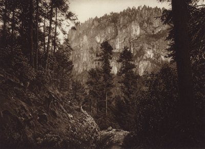 Mexico: La Canada, Contreras, D F (z/w foto) door Hugo Brehme