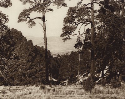 Mexico: Wild panorama aan de voet van Pico de Orizaba (z/w foto) door Hugo Brehme