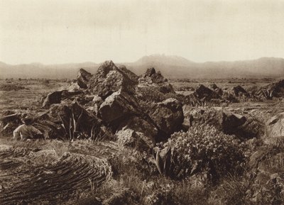 Mexico: Pedregal, Corriente de basalto-lava bij San Angel (z/w foto) door Hugo Brehme