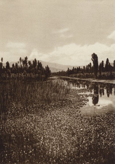 Mexico: Xochimilco, Een van de belangrijkste kanalen (z/w foto) door Hugo Brehme